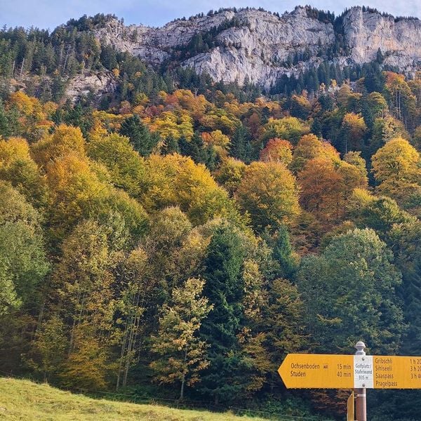 Diethelm: Eine Wanderung, die glücklich macht. Trotz allem