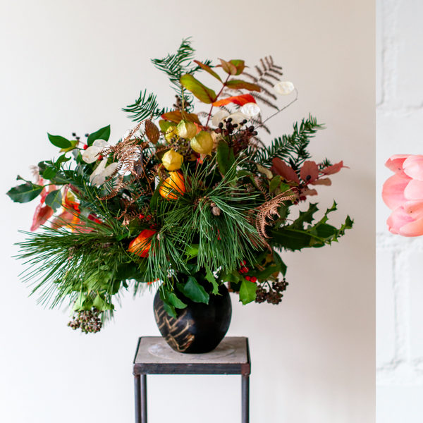 Wie du auch im Winter nachhaltige Blumen kaufen kannst