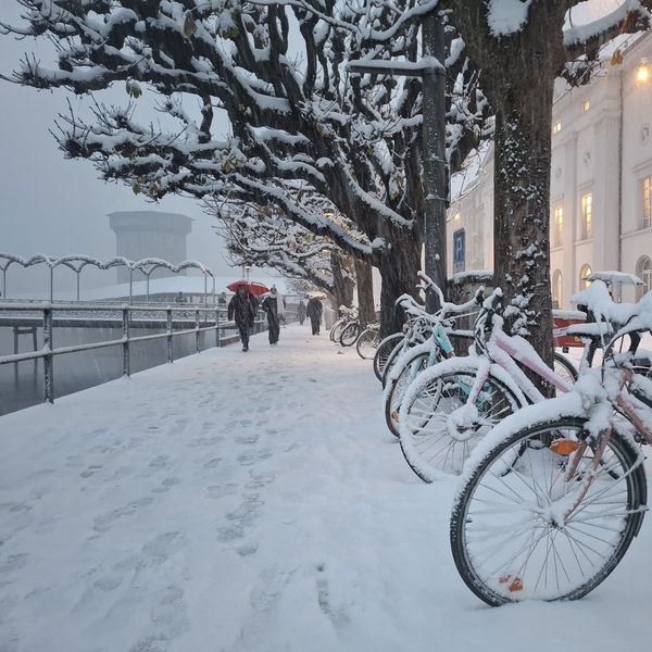 Luzern und Zug versinken im Schnee