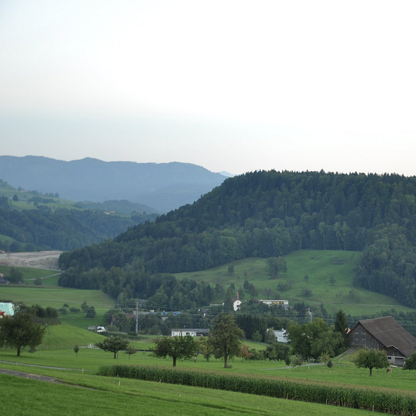 Warum niemand nach dem Gold auf der Baarburg sucht