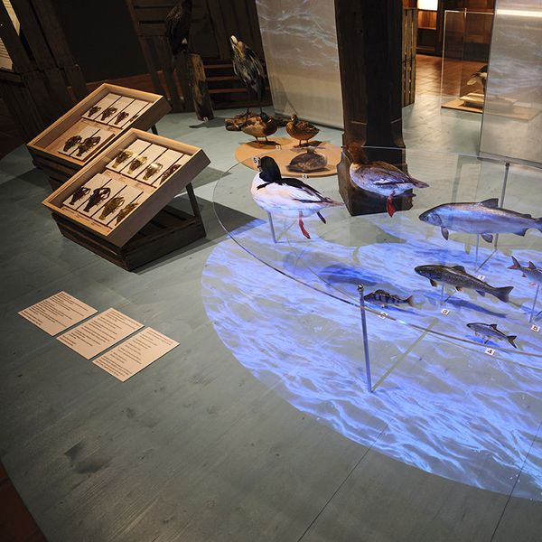 Mit dieser Ausstellung feiert Luzern seinen Geburtstag