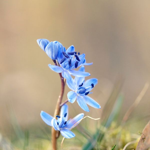 9 Bilder, um dich auf den Frühling einzustimmen