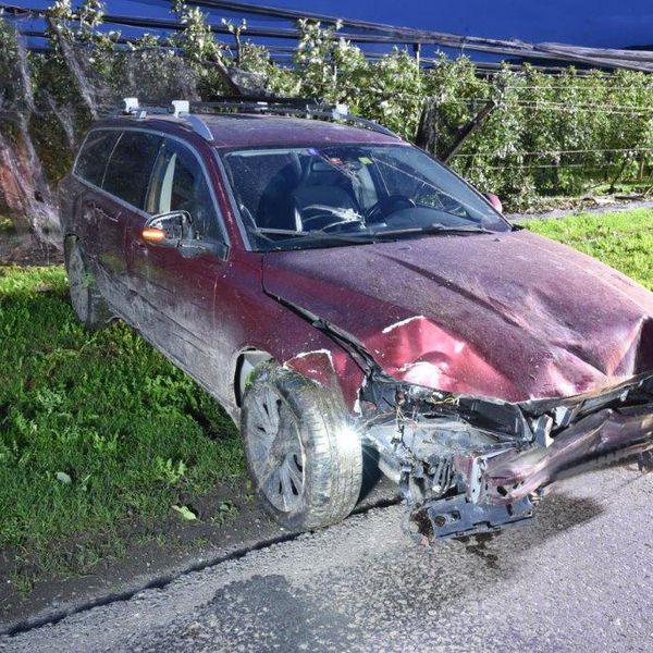 Ermensee: 51-Jähriger fährt mit Auto in Obstplantage
