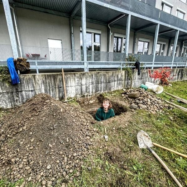 Hier in Emmen entstehen Hotels für Igel, Fledermaus und Co.