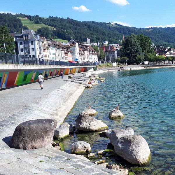 Hier könnte bald ein neuer Steg über den See führen