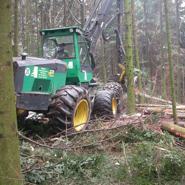 So will Kanton Luzern Holz nachhaltig nutzen