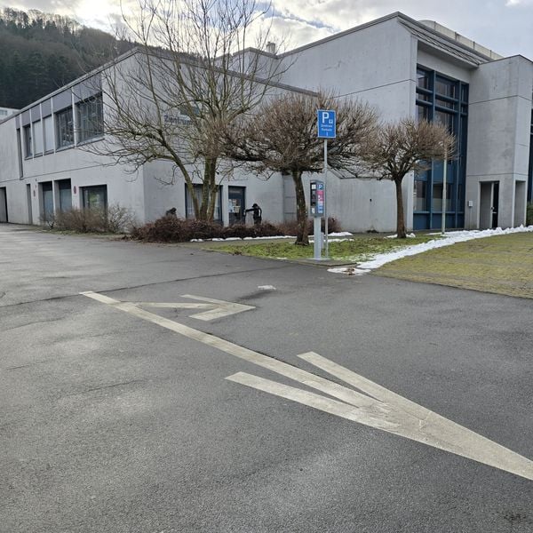 Luzerner Jungparteien fordern Absage der «Prügelnacht»
