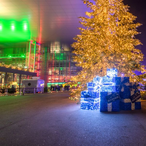 Weihnachtsbaum auf dem Europaplatz wird beleuchtet
