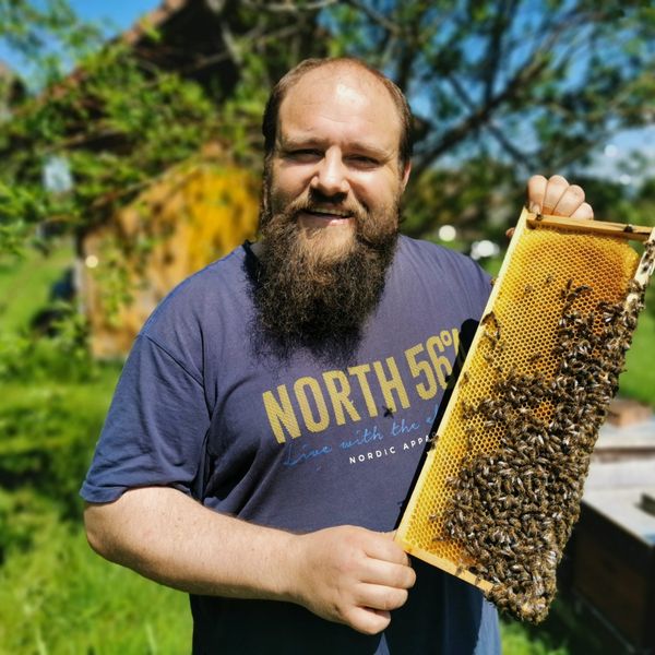 Dieser Luzerner Imker warnt vor mörderischer Hornisse