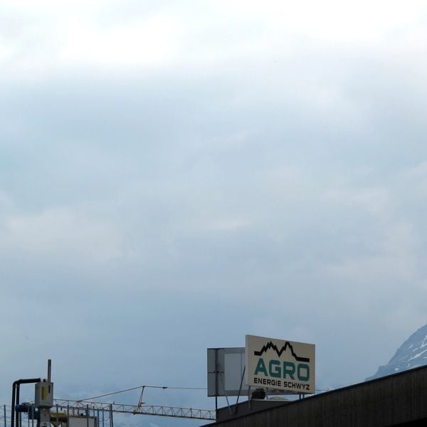 Knapp jede sechste Holzheizung ungenügend