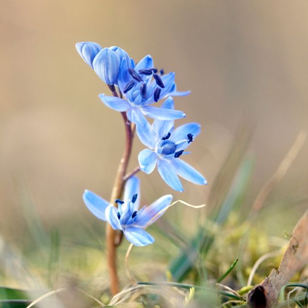 9 Bilder, um dich auf den Frühling einzustimmen