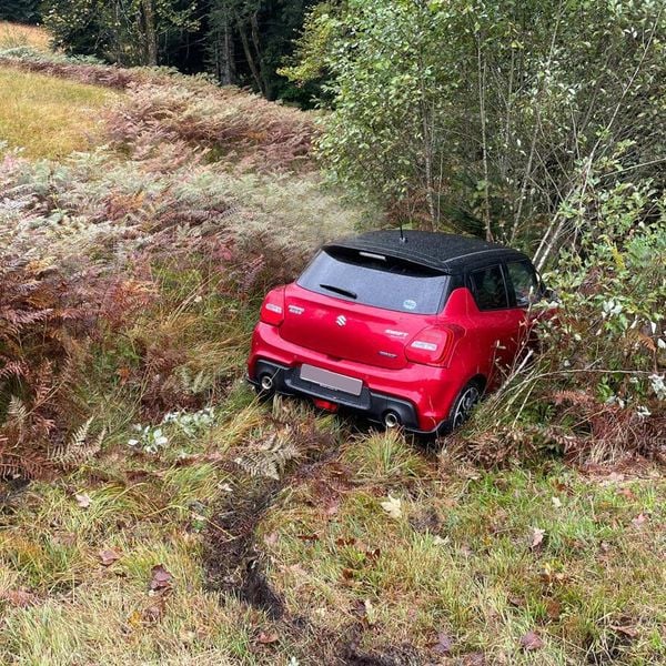 Betrunkener brettert über Wiese in Unterägeri