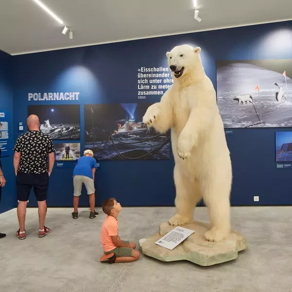 Brrrrr! Gletschergarten eröffnet Arktis-Ausstellung 