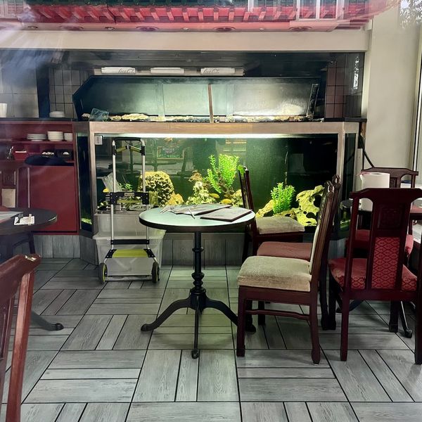 Restaurant versiegelt – Wer sorgt sich um die Fische?