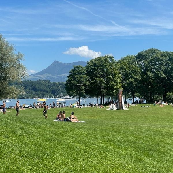 In der Ufschötti geniesst gar ein Pony den Sommer