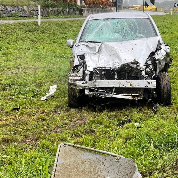 Auto fährt in Kuhherde – zwei Tiere tot