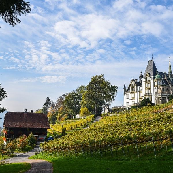 Dieser Luzerner Touristen-Hotspot bekommt Parkaufsicht