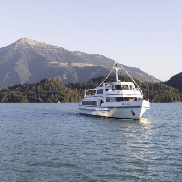 Schiff und Bahn: Von Zug gehts jetzt schneller zur Rigi