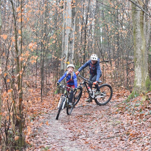 Biken im Bireggwald – warum eine Luzernerin trotz Verbot fährt