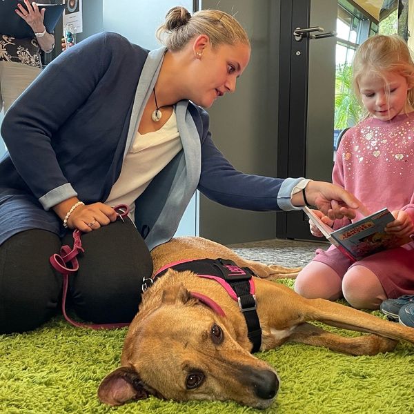 Dieser Hund hilft Kindern mit einer Leseschwäche