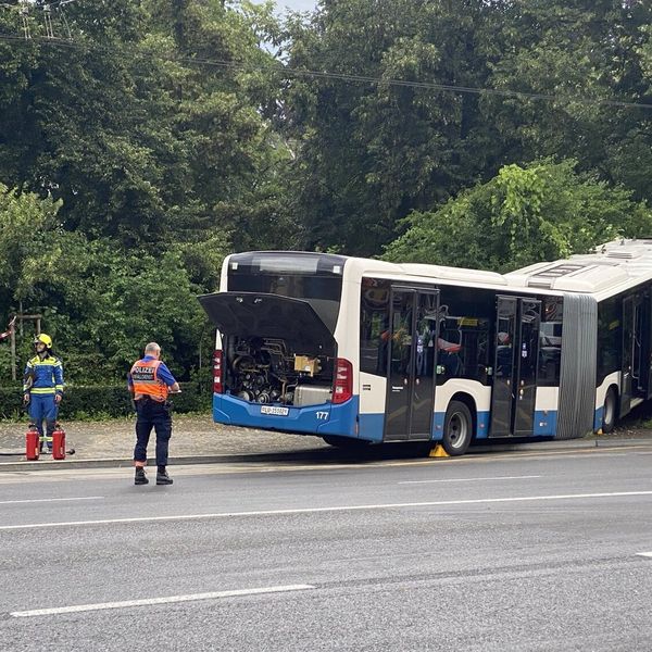 Bus überquert vier Spuren und kracht in Busch