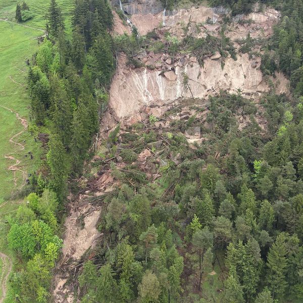 Vitznau: Erneuter Murgang beschädigt Sägerei