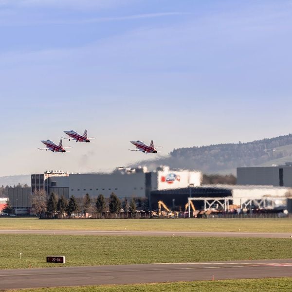 Schutzverband in Emmen fordert Ende der Patrouille Suisse