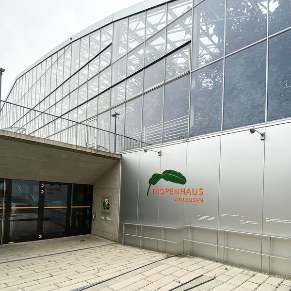Haltestelle beim Tropenhaus in Wolhusen wird eingestellt