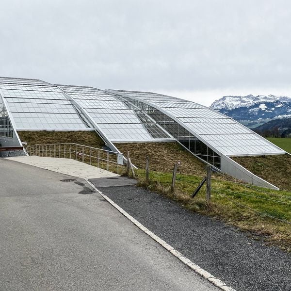 Tropenhaus vor dem Aus: Besitzer sucht neuen Betreiber