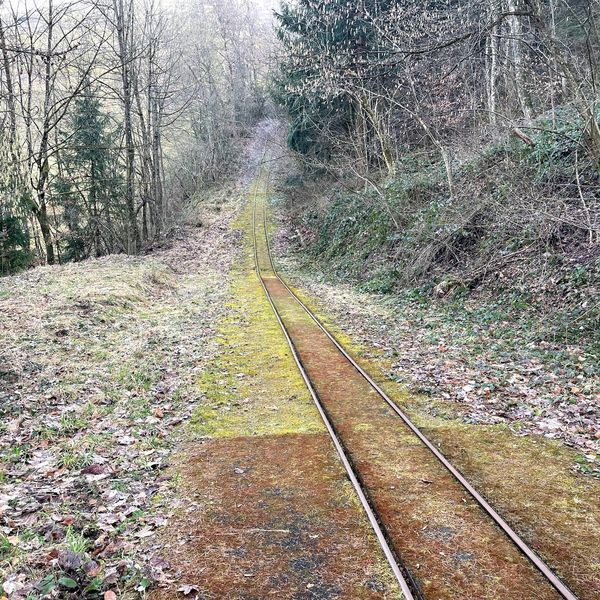 Was hinter diesen Schienen im Baarer Wäldchen steckt
