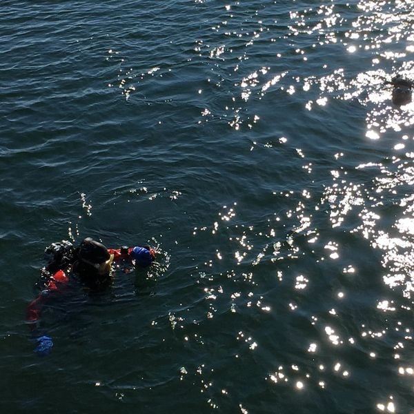 Vermisste Person im Zugersee: Wer bezahlt die Suche?