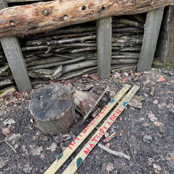 Unbekannte wüten in einer Rotkreuzer Waldspielgruppe