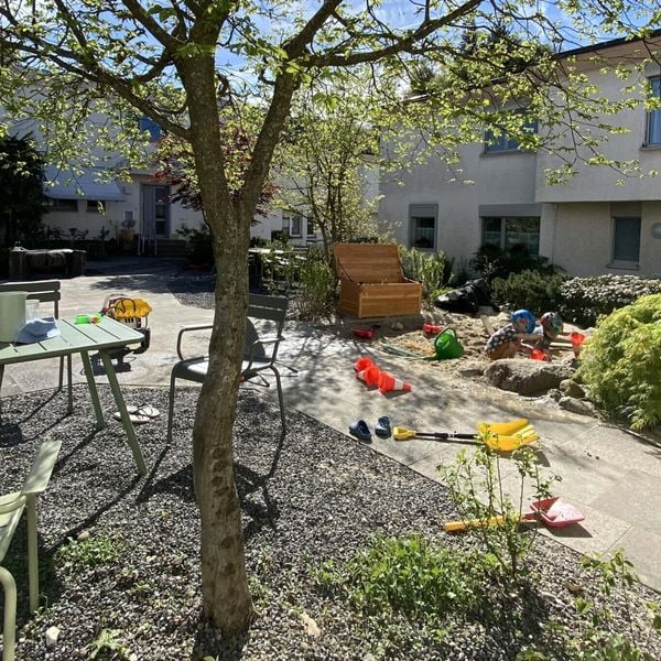 Stadt Luzern bezahlt dich fürs Pflanzen von Sträuchern