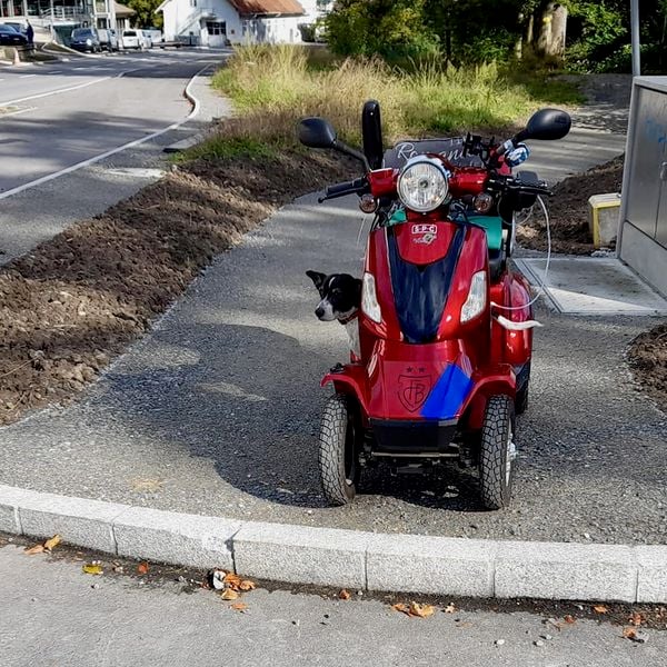 Hier ist für gehbehinderte Krienser Endstation
