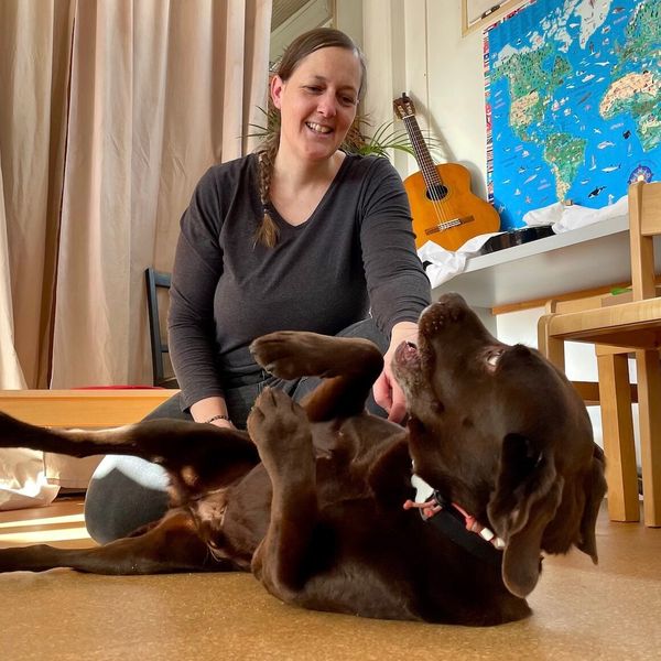 Der Hund, der Kinder ganz unauffällig erzieht