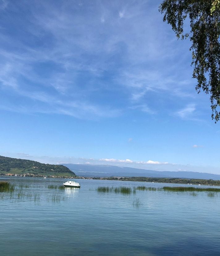 Luzernerin stirbt nach Schwumm im Murtensee