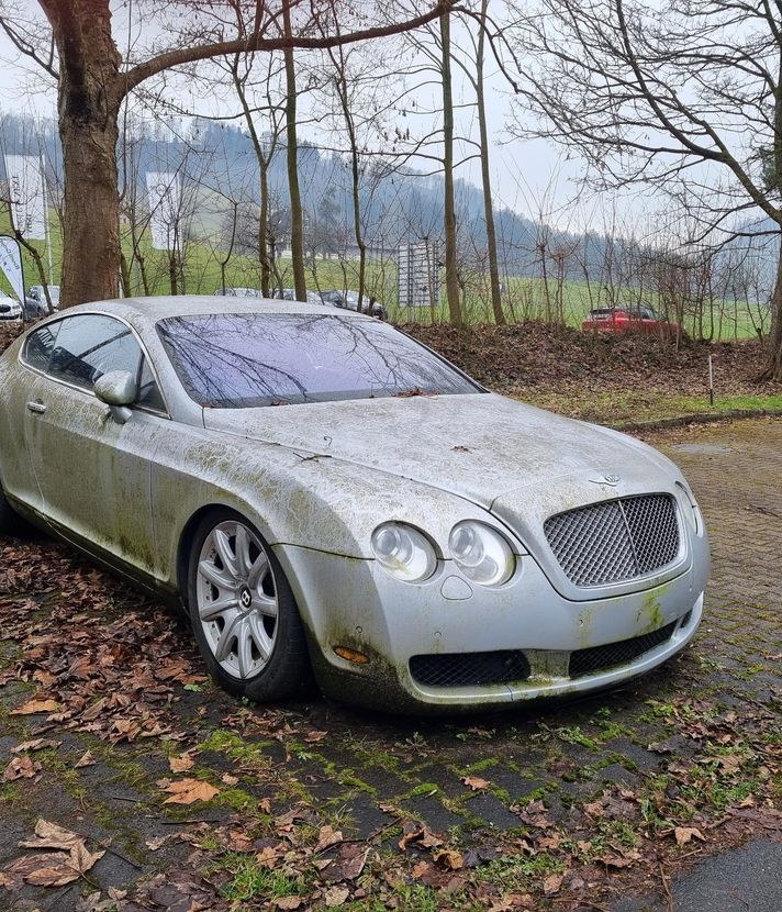Moos statt Glanz: Verwahrloster Bentley gibt Rätsel auf