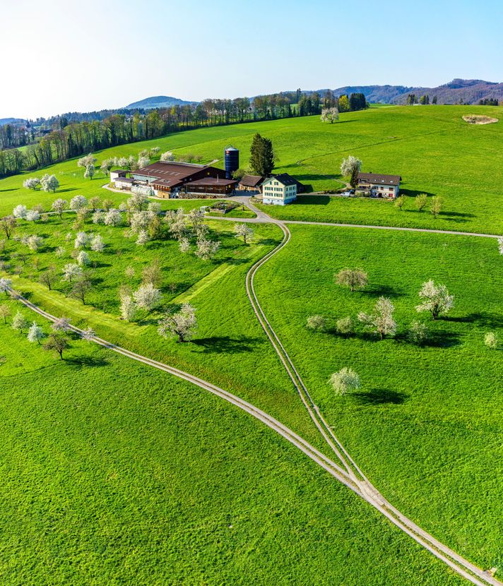 Kanton Zug will eine «klimafitte» Landwirtschaft