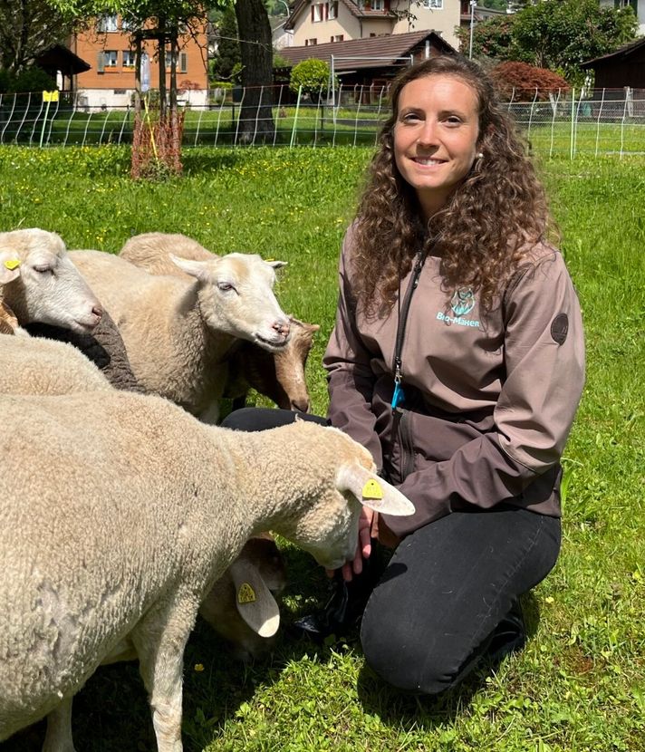 Darum hält sie mitten in der Stadt eine Schafherde