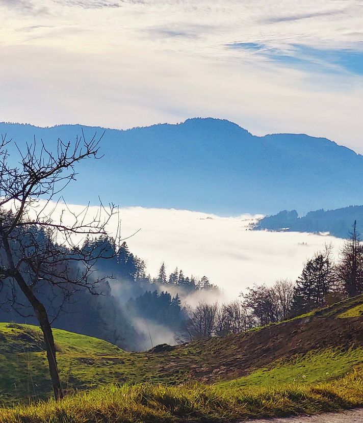 Flucht vor dem Nebel beschert Bergbahnen Rekordzahlen