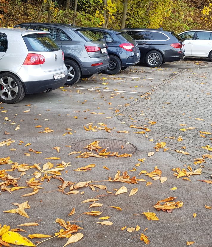 Mehr Parkplätze für Luzerner Vereine? Stadtrat winkt ab