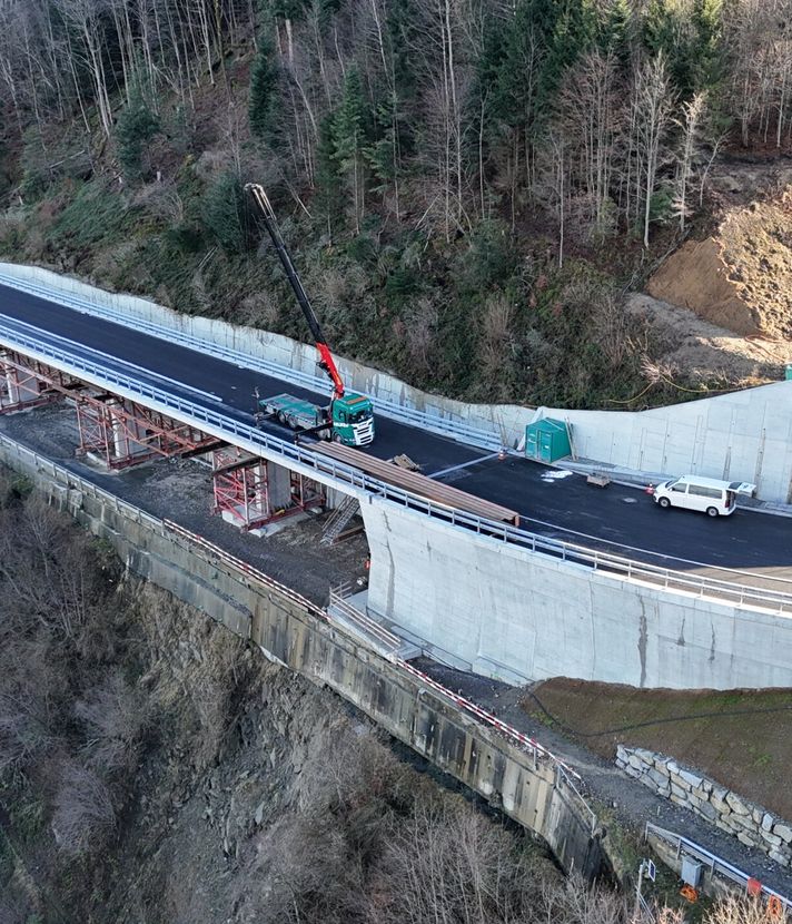 Darum ziehen beim Ränggloch Fledermäuse und Vögel ein