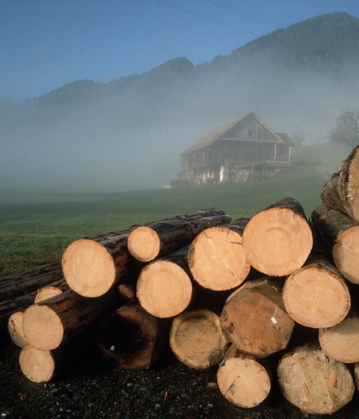 Luzerner Bauern profitieren von steigenden Holzpreisen