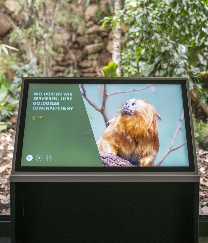 Gratis in den Zoo? Für Zuger und Luzerner passé