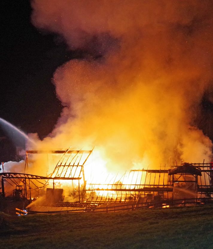 So viele Tiere verendeten beim Brand in Richenthal