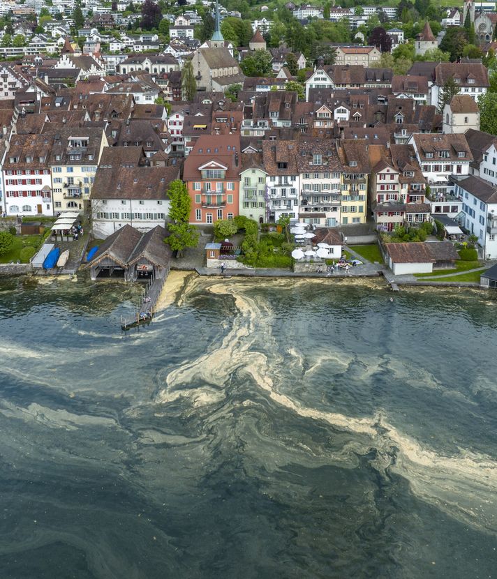 Zug muss Wohnungen bauen, um jung zu bleiben