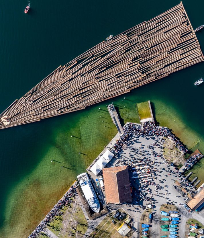 Dutzende Baumstämme schwimmen auf dem Ägerisee