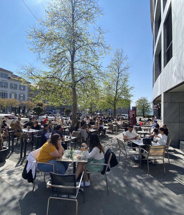 Darum fällt die Stadt Zug diese 37 Bäume