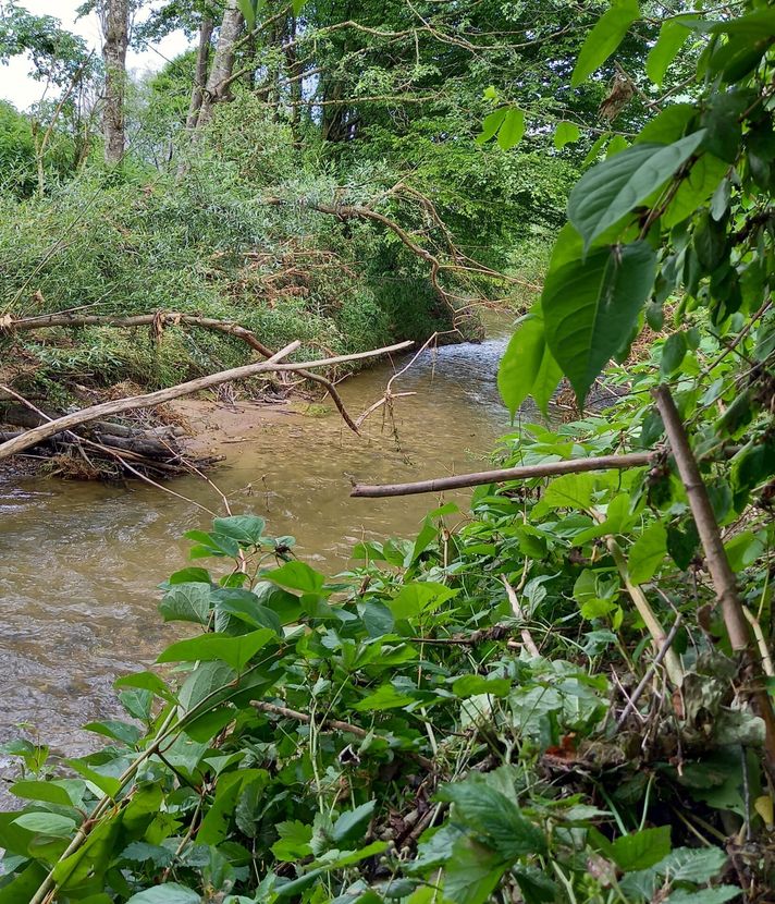 Regierungsrat verbessert Hochwasserschutz am Rotbach