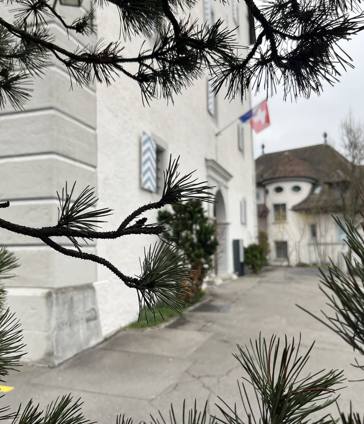 Altes Zeughaus: Stillstand bei Luzerns geheimer Perle